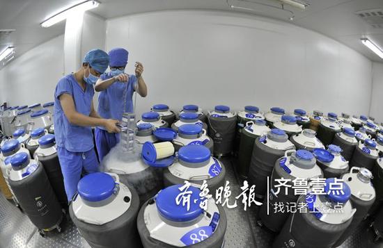 供卵试管婴儿是谁的孩子？