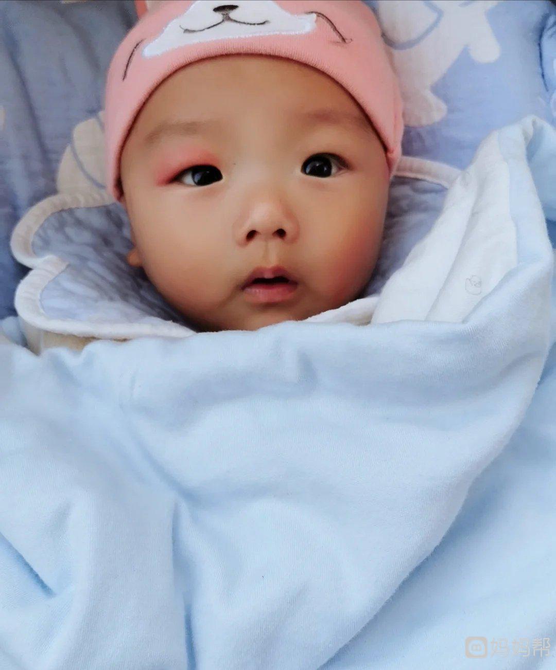 在马来西亚做供卵生子供卵试管可以选择孩子的性别吗？