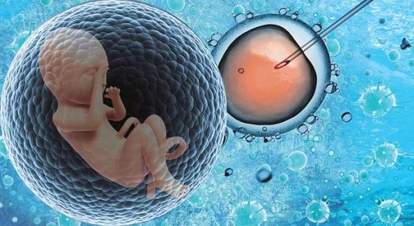 沈阳省妇幼保健院三代借卵试管婴儿