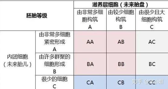 试管婴儿移植着床后出血是怎么回事