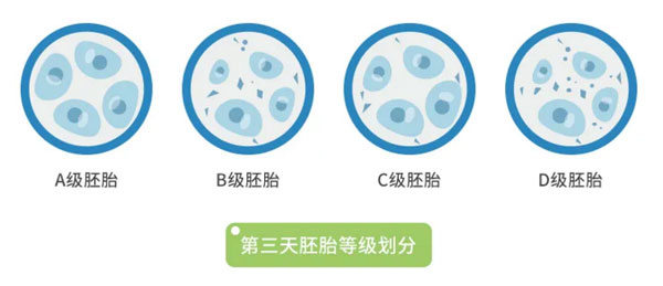 代生男孩的联系方式促排“新”药—+新型预充注射笔上市