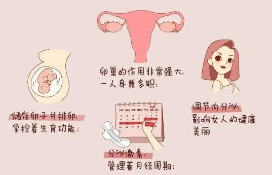 女性催乳素高做试管影响成功率吗(影响催乳素高的原因)