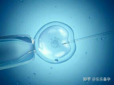 促排期间做春梦卵泡会提前排吗？