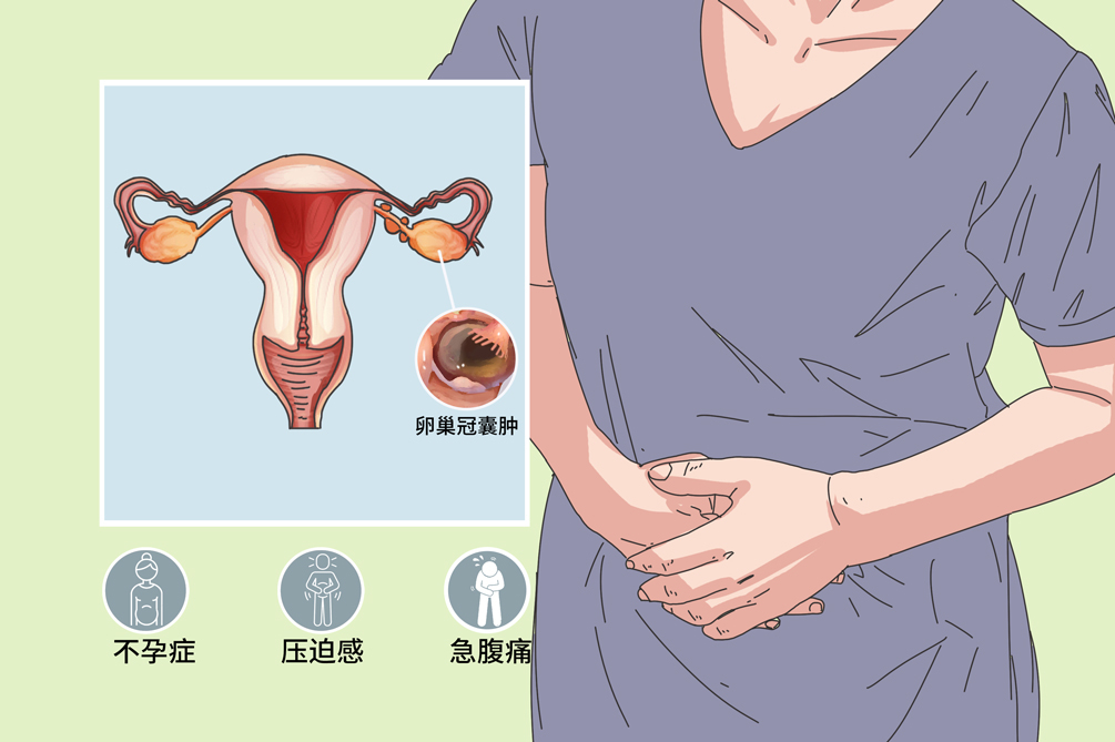 辽宁沈阳辽宁的试管代怀合法吗技术适应哪些人群+