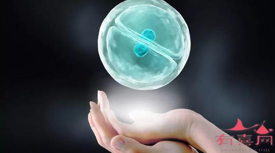 辽宁不孕不育正规医院排名,2024有三家机构可医院借卵试管代怀指南婴儿