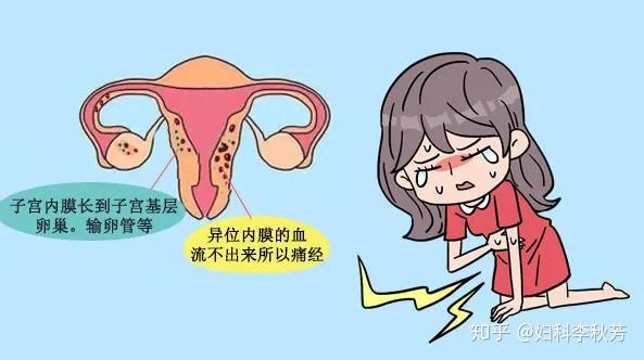 在辽宁沈阳供精代怀费用大概多少（去沈阳试管代怀夫费用婴儿费用）