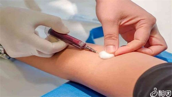 2024xy精子分离技术生男孩的费用一览,不同医院标准不同