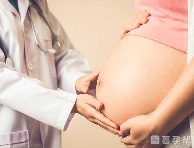 辽宁集爱代生一孩子收费多少成功率会高吗
