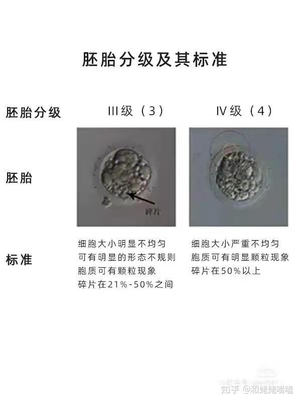 辽宁失独再生（辽宁三代代生供卵咨询医院）