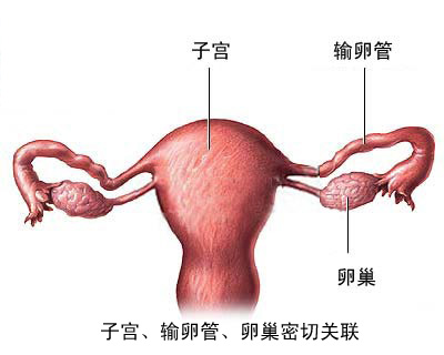 试管辽宁三院好还是沈阳玖和好
