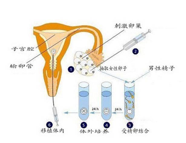 2024辽宁家圆代生地址电话婴儿费用明细及成功率参考