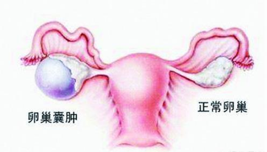 2024年代怀男孩成功率低的原因（内附试管费用明细）