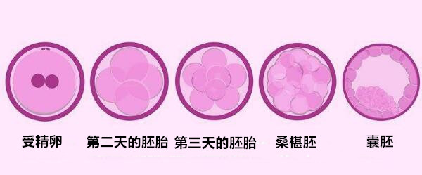 32岁单身私人代生婴儿流程步骤和已婚的有区别吗+